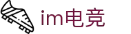 IM(股份有限公司)电竞-电子竞技平台